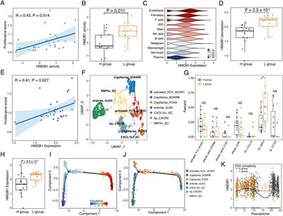 Single-cell transcriptomics reveals tumor microenvironment remodeling in hepatocellular carcinoma with varying tumor subclonal complexity